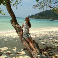 Отзыв от Алла - Visa DTV